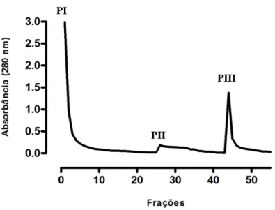 Figura 16 – Purificação de rCV1897 PS+  por cromatografia de afinidade em níquel imobilizado
