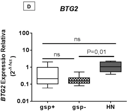 Figura 7D-   Expressão relativa do gene BTG2 nos somatotrofinomas gsp-positivos,  gsp-negativos e hipófises normais, ns: não significativo