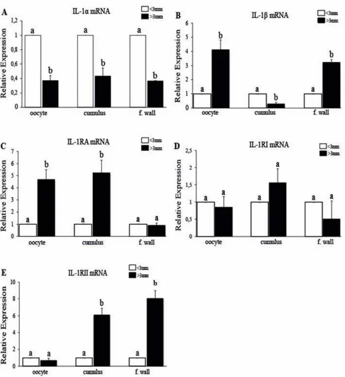 Figure  7A-E.  Relative  expression  of  mRNA  for  interleukin  I  system  in  small  (&lt;3mm)  and  large  antral  follicle  (&gt;3mm)