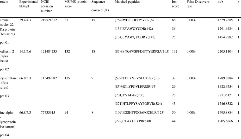 Tabela 1.Proteínas do plasma seminal de carneiros adultos Santa Inês identificadas por eletroforese bi-dimensional e espectometria de massa  (MALDI-ToF/ToF )