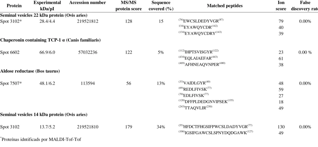 Tabela 4. Proteínas do plasma seminal de carneiros adultos Morada Nova identificadas por eletroforese bi-dimensional e espectometria de massa  (MALDI-ToF/ToF )