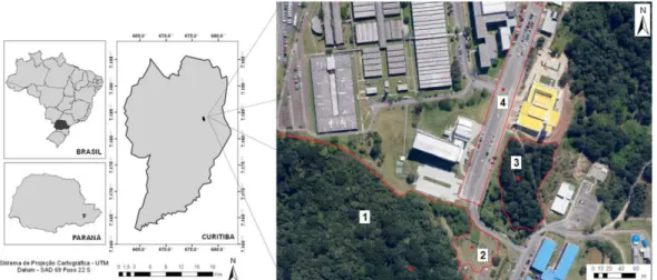 Figura 1.  Localização da área de estudo com imagem digital do satélite GeoEye dos ambientes analisados, datada de  janeiro de 2009