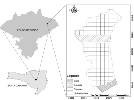 Figura 1.  Localização da Área de Preservação Permanente (APP) em processo de restauração em Pouso Redondo, SC.