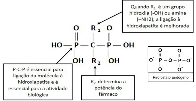 Figura  1:  Representação  esquemática  da  estrutura  química  geral  dos  bisfosfonatos  e  do  pirofosfato endógeno