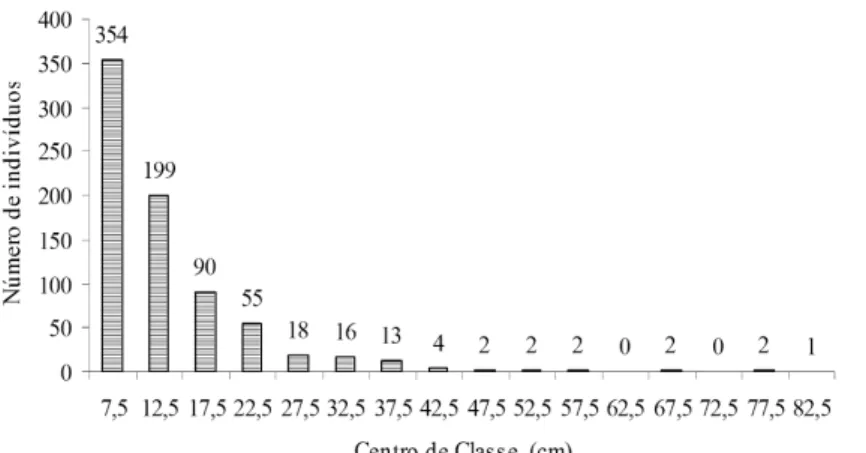Figura 3.  Distribuição dos indivíduos da área de mata mesofítica em classes de diâmetro de 5 cm, na Estação 