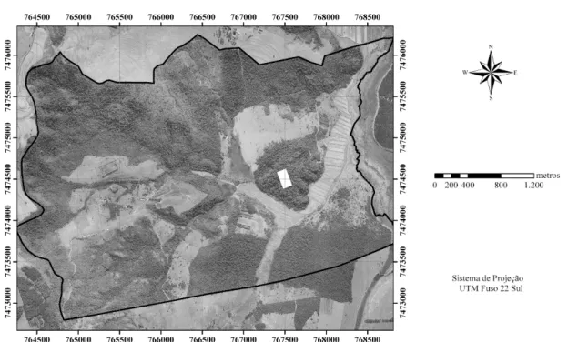 Figura 1.  Área amostrada (retângulo em branco) sobre fotografia aérea que apresenta sua localização no fragmento  florestal estudado.