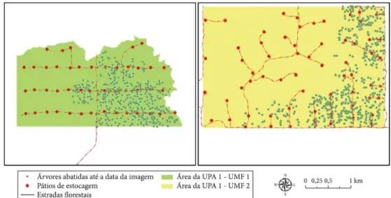 Figura 3. Infraestrutura florestal existente nas áreas de estudo e árvores abatidas até a data das imagens de satélite  utilizadas.