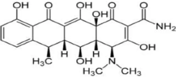 Figura 9: Estrutura Química da Doxiciclina. 