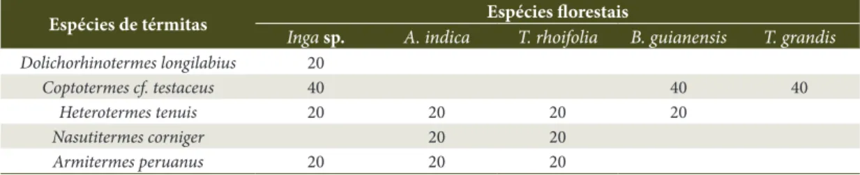 Tabela 3.  Nível de ataque (%) de térmitas xilófagos nas amostras das espécies de madeira avaliadas
