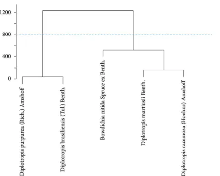 Figure 5.  Cluster analysis. Dendrogram of similarity among species based on quantitative anatomical parameters.