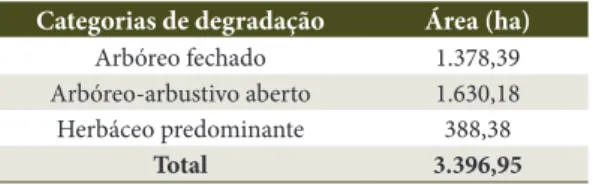 Figura  20. Gráfico com as porcentagens de cada 