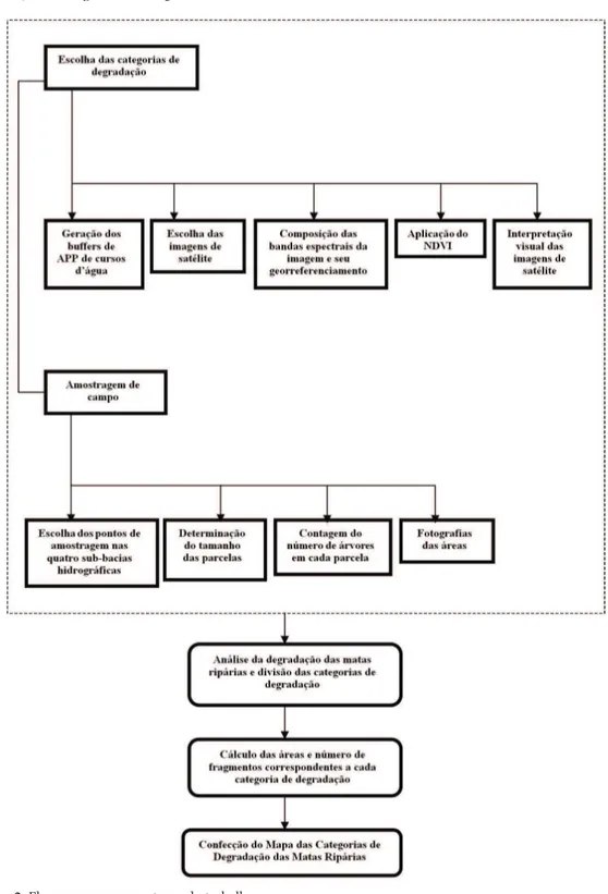 Figura 2. Fluxograma com as etapas do trabalho. Figure 2. Flowchart with study steps.