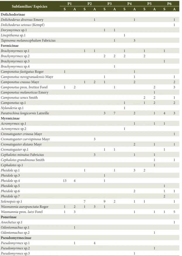 Tabela 1.  Frequência absoluta e riqueza de espécies de formigas coletadas no solo (S) e sobre árvores (A) nas áreas  verdes urbanas do Município de Três Rios-RJ.