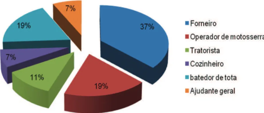 Figura 2.  Relação em porcentagem das funções exercidas pelos funcionários das carvoarias localizadas no município  de Curimatá-PI.