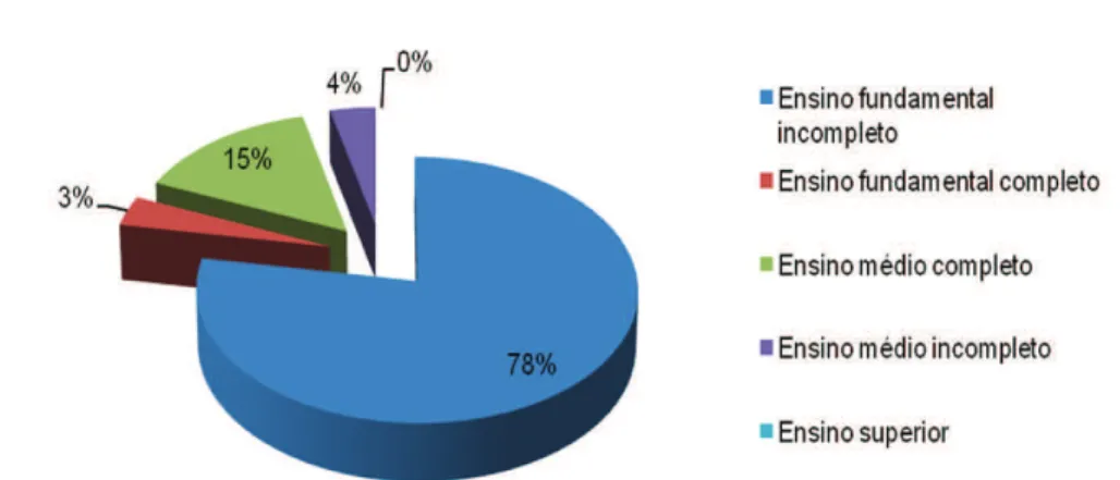 Figura  3.  Relação em porcentagem do grau de escolaridade dos colaboradores das carvoarias localizadas no  município de Curimatá-PI.