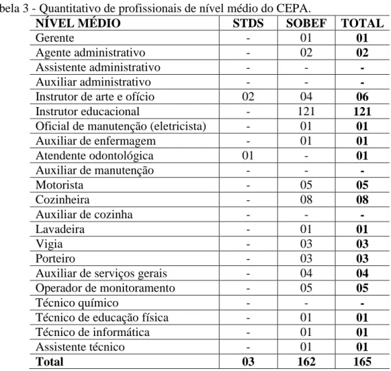 Tabela 2 - Quantitativo de profissionais de nível superior do CEPA. 