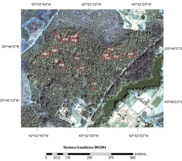 Figura 2. Localização das parcelas no fragmento estudado. Figure 2. Sample units location in the fragment.