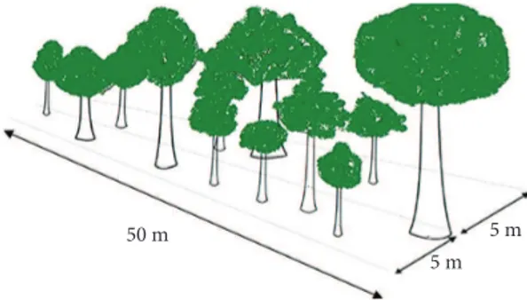 Tabela  1.  Agrupamento dos diâmetros de H. brasiliensis em uma floresta plantada (seringal) em classes com 