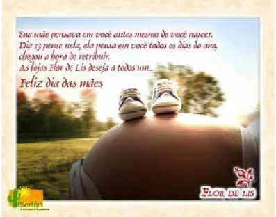 Figura 6 - Dia das mães