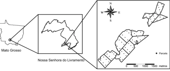 Figura 1.  Localização do povoamento de Tectona grandis em Nossa Senhora do Livramento, Estado de Mato Grosso