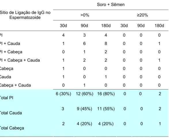 TABELA 4 – Incidência dos perfis de ligação das imunoglobulinas do tipo IgG dos  vasectomizados (n=20), nos espermatozóides de voluntários sadios