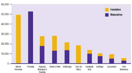 Figura  1-  Tipos  de  câncer  mais  incidentes,  estimados  para  2010  e  2011,  exceto  pele  não-melanoma, na população brasileira