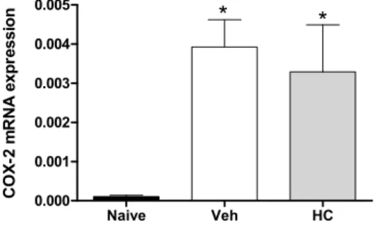 Figure 4. Effect of treatment with hecogenin on COX-2 mRNA paw levels. Mice were  injected with hecogenin (HC; 20 mg/kg) or vehicle (Veh; control group) by the  intraperitoneal route 30 min before the intraplantar injection of complete Freund’s adjuvant  (