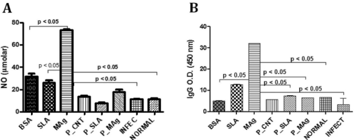 Fig. 1. (A) Measuring NO concentration and (B) anti-Leishmania total IgG isotyping in immunized BALB/C mice serum after the challenge with L