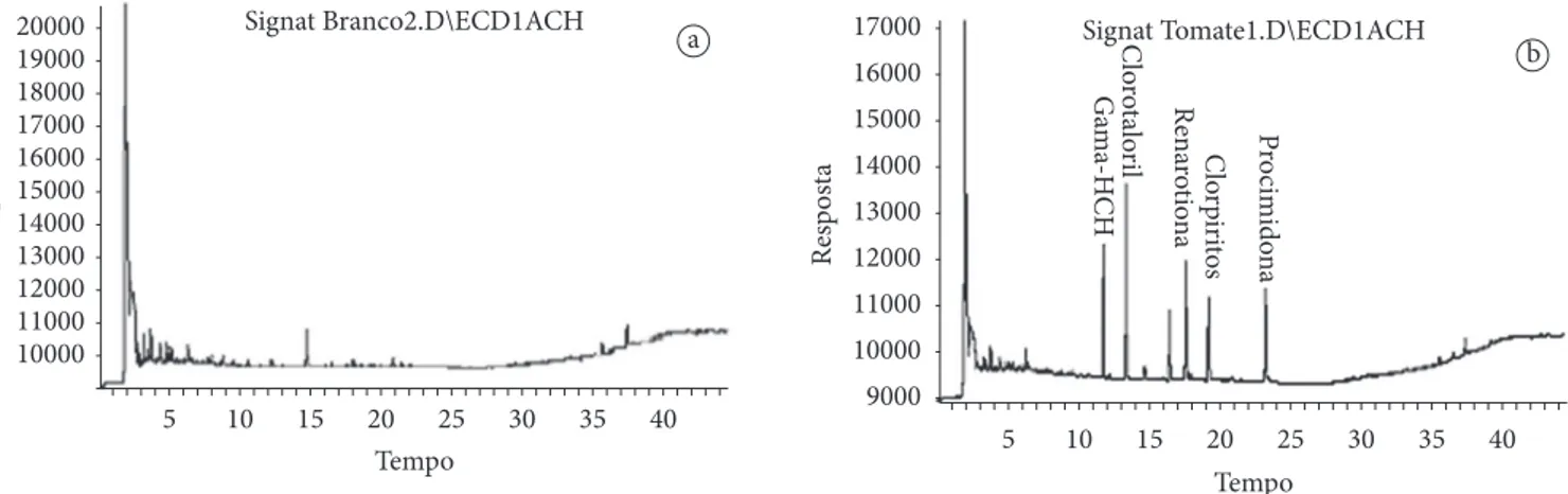 Figura 2.  A – Cromatograma do branco da polpa de tomate analisada por CG/DCE, de acordo com as condições cromatográficas estabelecidas  previamente