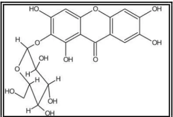 Figura 3. Estrutura química da mangiferina (CORREIA et al., 2006). 