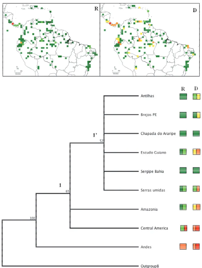 Figura  8.    Cladograma  mai quadrículas  1°  x  1°.  Os  núm bootstrap.  As  quadrículas  co diversidade (D), apresentadas 