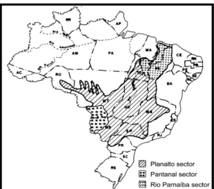 Figura  1.  Regionalização  do  Brasil  e  da  província  biogeográfica  do  Cerrado  com  sua divisão em três principais setores: Planalto,  Pantanal e  Bacia do Rio Parnaíba