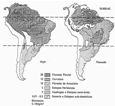 Figura 3. Esboço dos Principais Ecossistemas da América do Sul no  Período Glacial (12 a 18 mil anos) e no presente