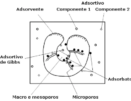 Figura II. 1 – Ilustração de um sistema de adsorção composto por uma mistura de dois componentes  (modificado de Keller et al., 1999).