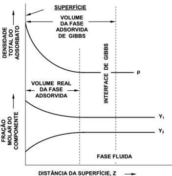 Figura II. 3 – Diagramas esquemáticos dos perfis de densidade e composição da fase adsorvida real e  de Gibbs (Adaptação de Sircar, 1999)