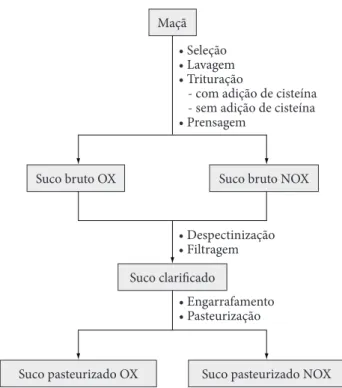 Figura 3.  Fluxograma de obtenção de sucos de maçãs oxidado (OX)  e não-oxidado (NOX)