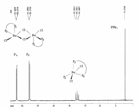 Figura  18  -  Espectro  de  RMN  31 P{ 1 H}  do  complexo  de  partida  [Ru II Cl 2 (dppb)(PPh 3 )],  em  CH 2 Cl 2 