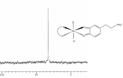 Figura  23  -  Espectro  de  RMN  31 P{ 1 H}  do  complexo  trans-[Ru II Cl 2 (dppb)(dopamina) q ],  em  CH 2 Cl 2 