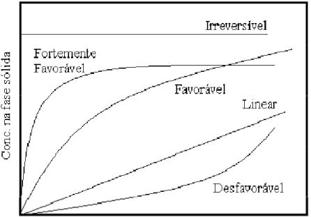Figura 2.5 – Tipos de Isotermas de Adsorção. Fonte: Luna, 2007. 