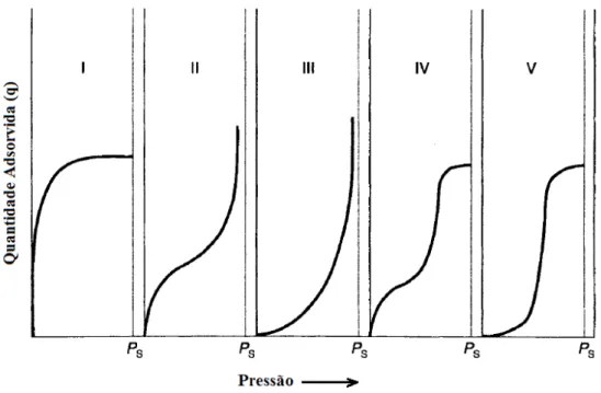 Figura 2.6 – Tipos de Isotermas. Fonte: Adaptado de Thomas e Crittenden (1998). 