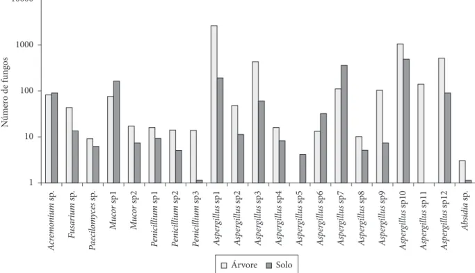 Figura 1.  Distribuição do número absoluto de fungos isolados dos grãos de café cv. Iapar 59 da árvore e do solo da região de Londrina – PR  (safra 2004/2005)