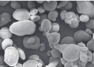 Figura  3.   Micrografias  dos  grânulos  de  amido  com  alto  teor  de 