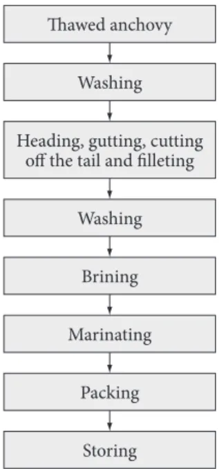 Figure 1.  Marinating process of Engraulis anchoita.