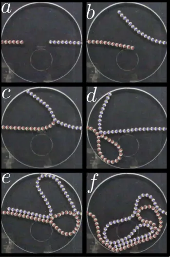 Figura 3: Sequˆencia de imagens durante o processo de inje¸c˜ao das esferas magn´eticas no interior da cavidade cil´ındrica caso dipolos desalinhados (sentidos contr´ arios)