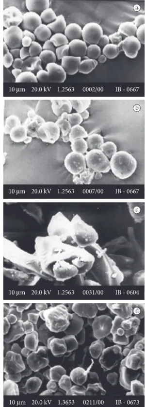 Figura 1. Viscosidade das pastas de amido de mandioca avaliadas em  Rapid Visco Analyser (RVA)