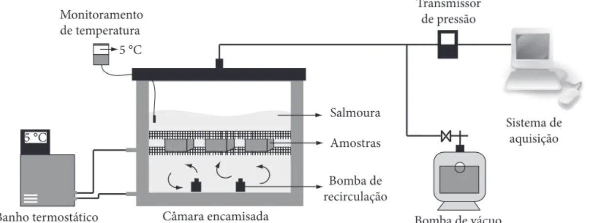 Figura 1.  Representação esquemática do dispositivo experimental utilizado.Banho termostáticoCâmara encamisada