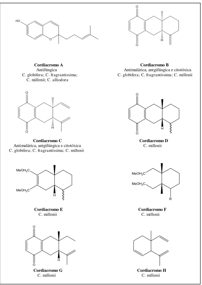 Figura 4 - Estruturas dos cordiacromos isolados de espécies de Cordia 