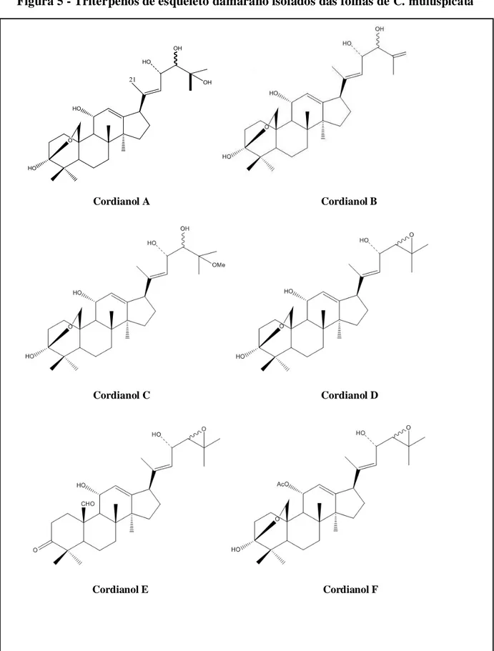 Figura 5 - Triterpenos de esqueleto damarano isolados das folhas de C. multispicata           Cordianol A  Cordianol B  Cordianol C  Cordianol D                                               Cordianol E                                             Cordianol