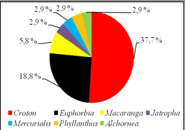 Figura 3.3 : Gráfico de gêneros  mais estudados sobre flavonóides  da família Euphorbiaceae 