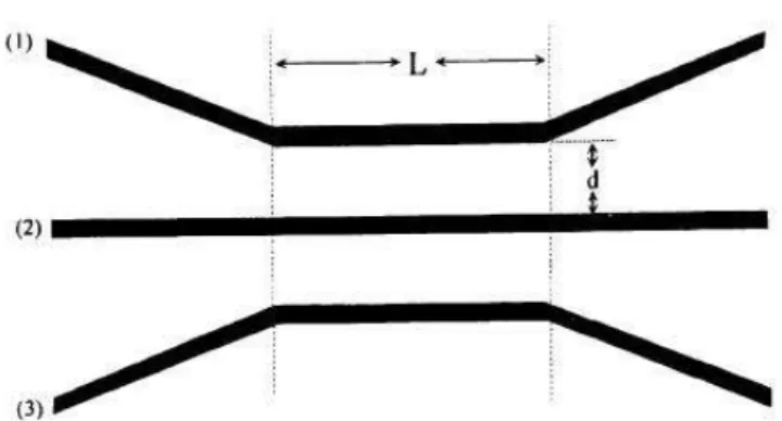 Fig. 2.2.2 - Esquema do acoplador direcional triplo planar.